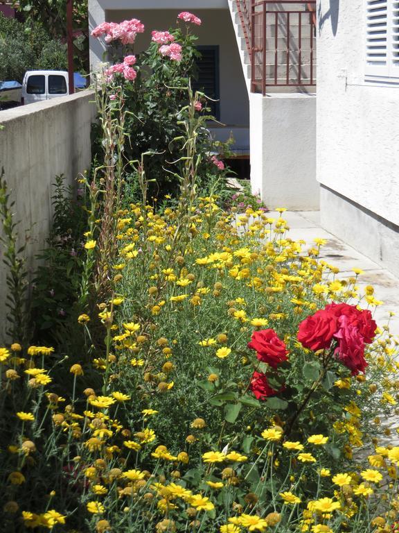Apartment Cvita 비오그라드나모루 객실 사진